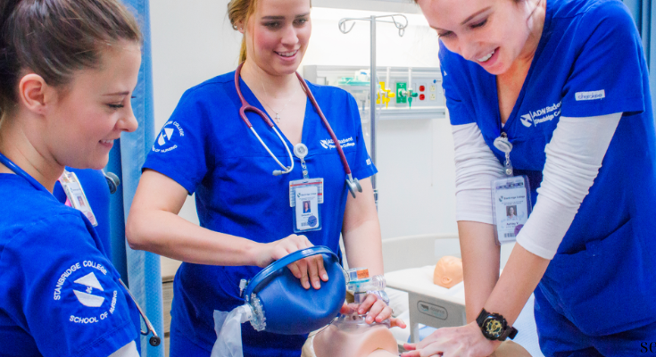The Comprehensive Guide to Licensed Vocational Nurse Education